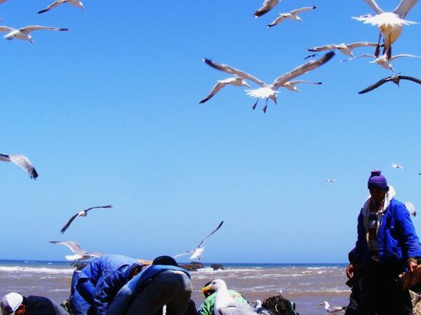 essaouira