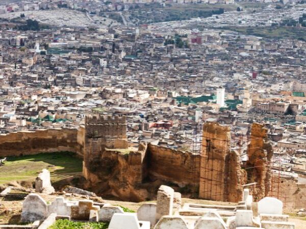 fes old city and al city view