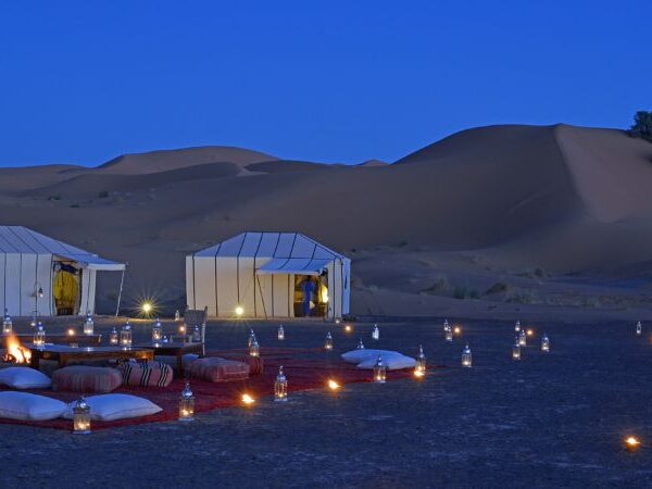 sahara desert by night