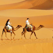 The Ultimate Guide to Things to Do in the Sahara Desert