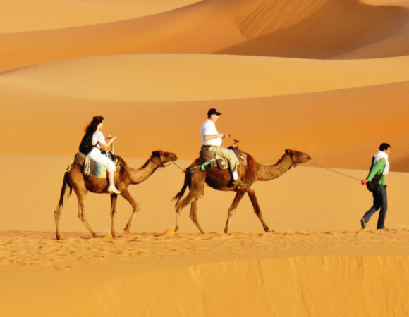 The Ultimate Guide to Things to Do in the Sahara Desert