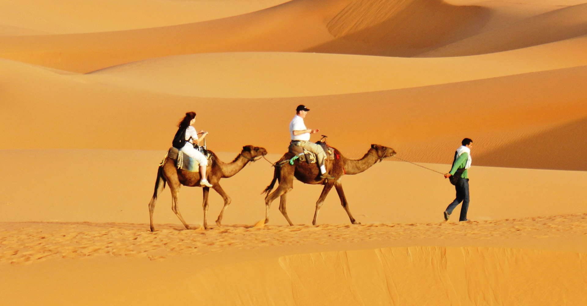 The Ultimate Guide to Things to Do in the Sahara Desert