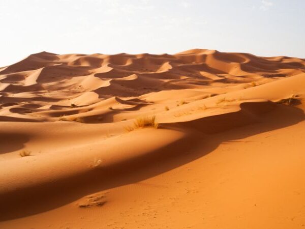 sahara desert of merzouga