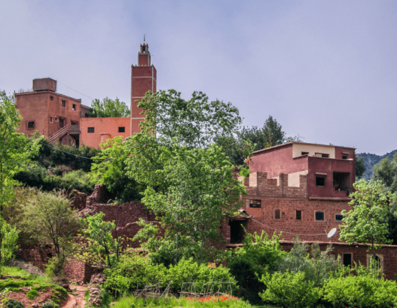 Day Trip from Marrakech to Ourika Valley