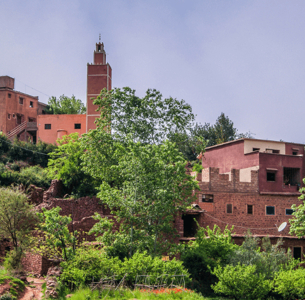 Day Trip from Marrakech to Ourika Valley