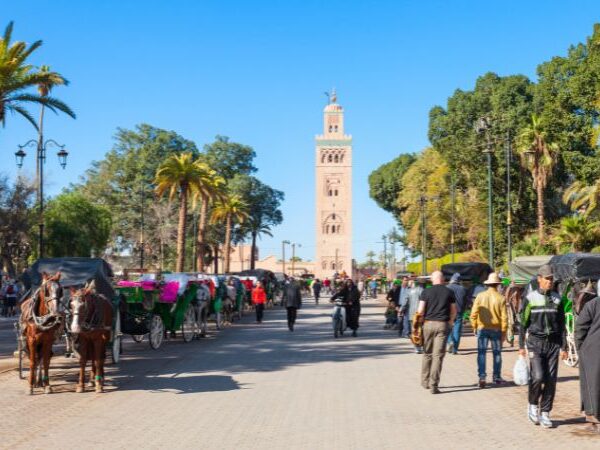 Marrakech desert tours