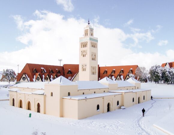 One Day trip from Fes to Ifrane